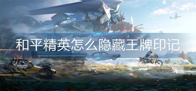 和平精英怎么隐藏王牌印记