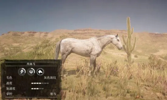 荒野大镖客2美国花马在哪-荒野大镖客2美国花马位置刷新介绍