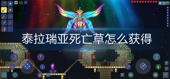 泰拉瑞亚死亡草怎么获得-死亡草获取攻略