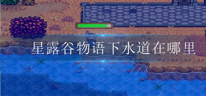 星露谷物语下水道在哪里-下水道位置介绍