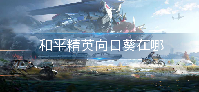 和平精英向日葵在哪-向日葵位置介绍 和平精英向日葵在哪-向日葵位置介绍