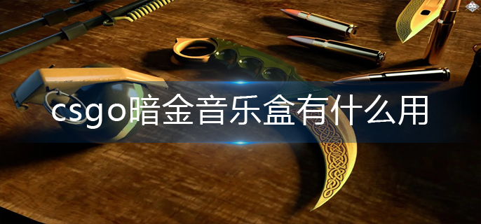 csgo暗金音乐盒有什么用-暗金音乐盒作用一览