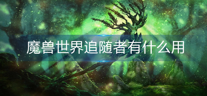 魔兽世界追随者有什么用