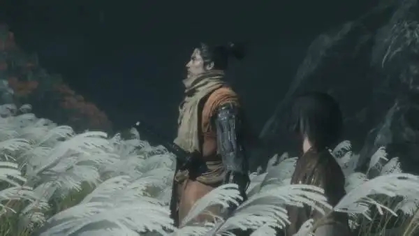 只狼影逝二度老年义父怎么通过-老年义父打法技巧分享