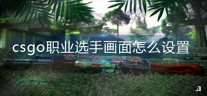 csgo职业选手画面怎么设置