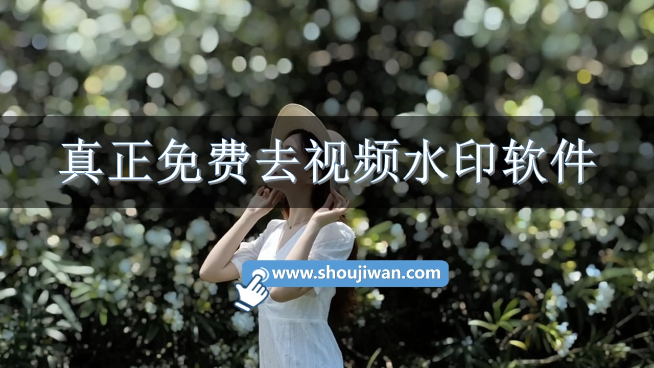 真正免费去视频水印软件