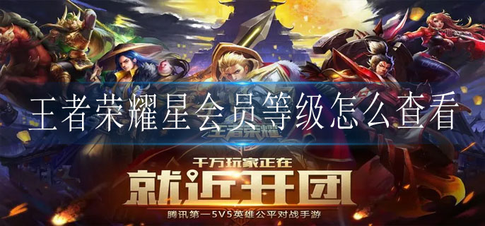 王者荣耀星会员等级怎么查看