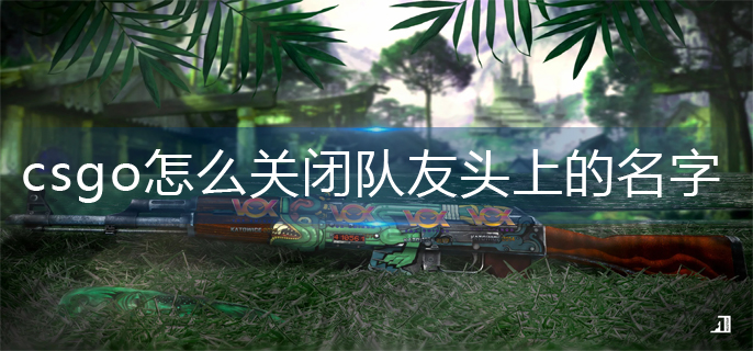 csgo怎么关闭队友头上的名字