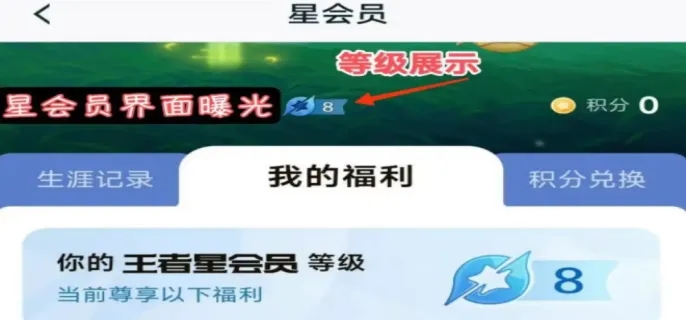 王者荣耀星会员15级要多少RMB-星会员15级价格预测
