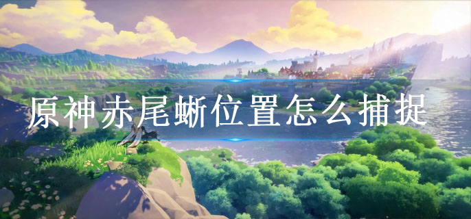 原神赤尾蜥位置怎么捕捉