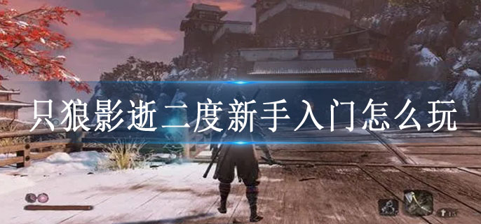 只狼影逝二度新手入门怎么玩