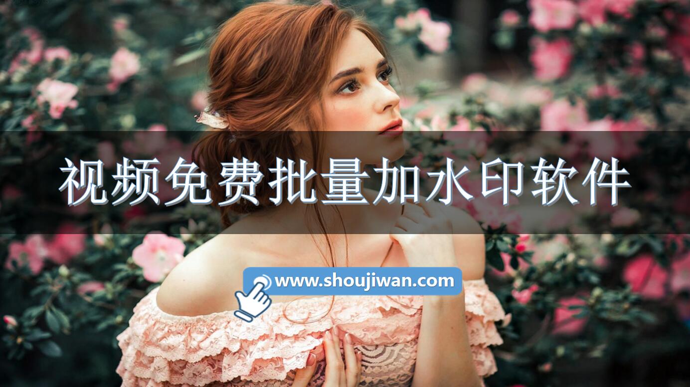 视频免费批量加水印软件