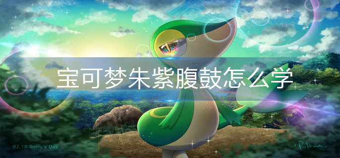 宝可梦朱紫腹鼓怎么学-腹鼓学习攻略