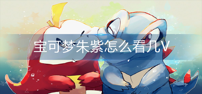 宝可梦朱紫怎么看几V