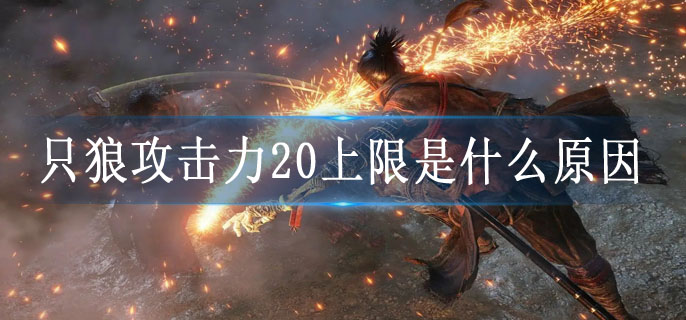 只狼攻击力20上限是什么原因