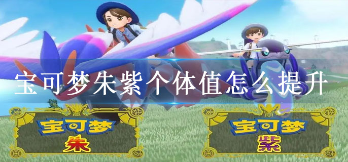 宝可梦朱紫个体值怎么提升