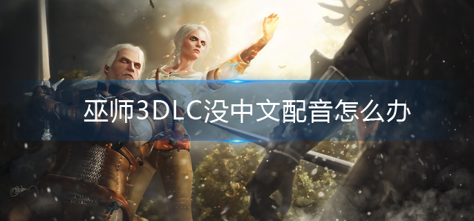 巫师3DLC没中文配音怎么办