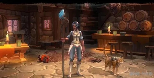 火炬之光2法师怎么加点技能-法师技能高收益攻略