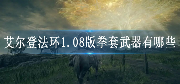 艾尔登法环1.08版拳套武器有哪些