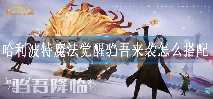 哈利波特魔法觉醒驺吾来袭怎么搭配