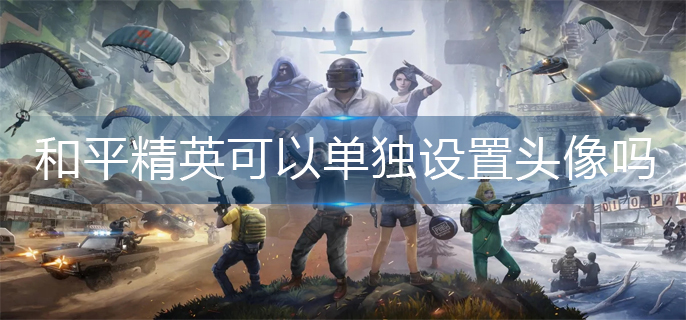 和平精英可以单独设置头像吗