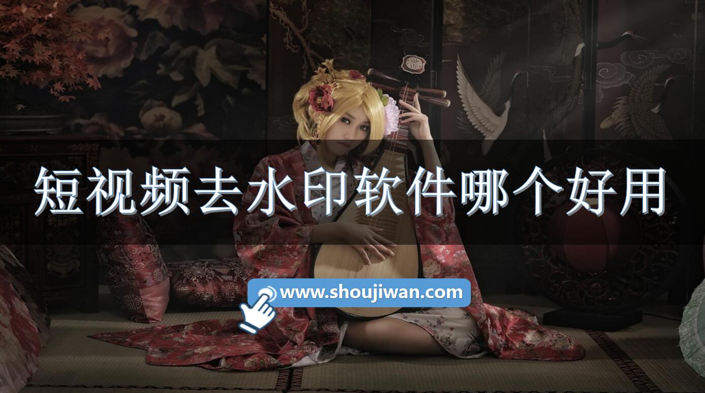 短视频去水印软件哪个好用-去除短视频水印的软件免费