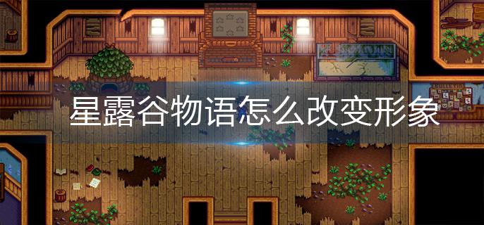 星露谷物语怎么改变形象