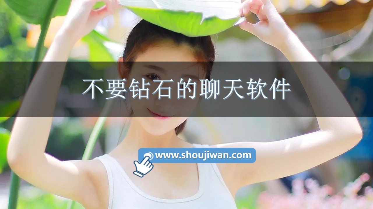 不要钻石的聊天软件