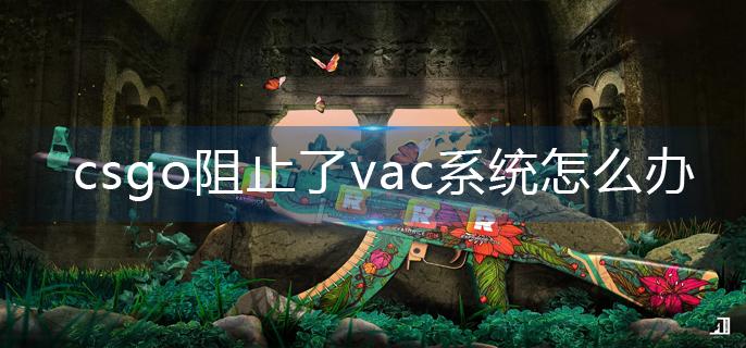 csgo阻止了vac系统怎么办