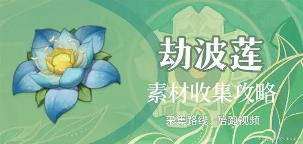 原神劫波莲什么时候刷新-劫波莲采集路线图汇总