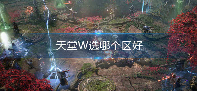 天堂W选哪个区好