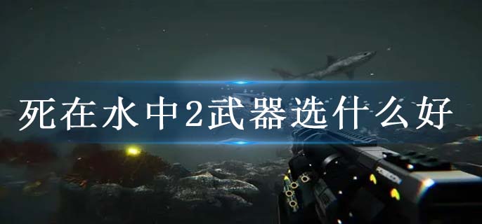死在水中2武器选什么好