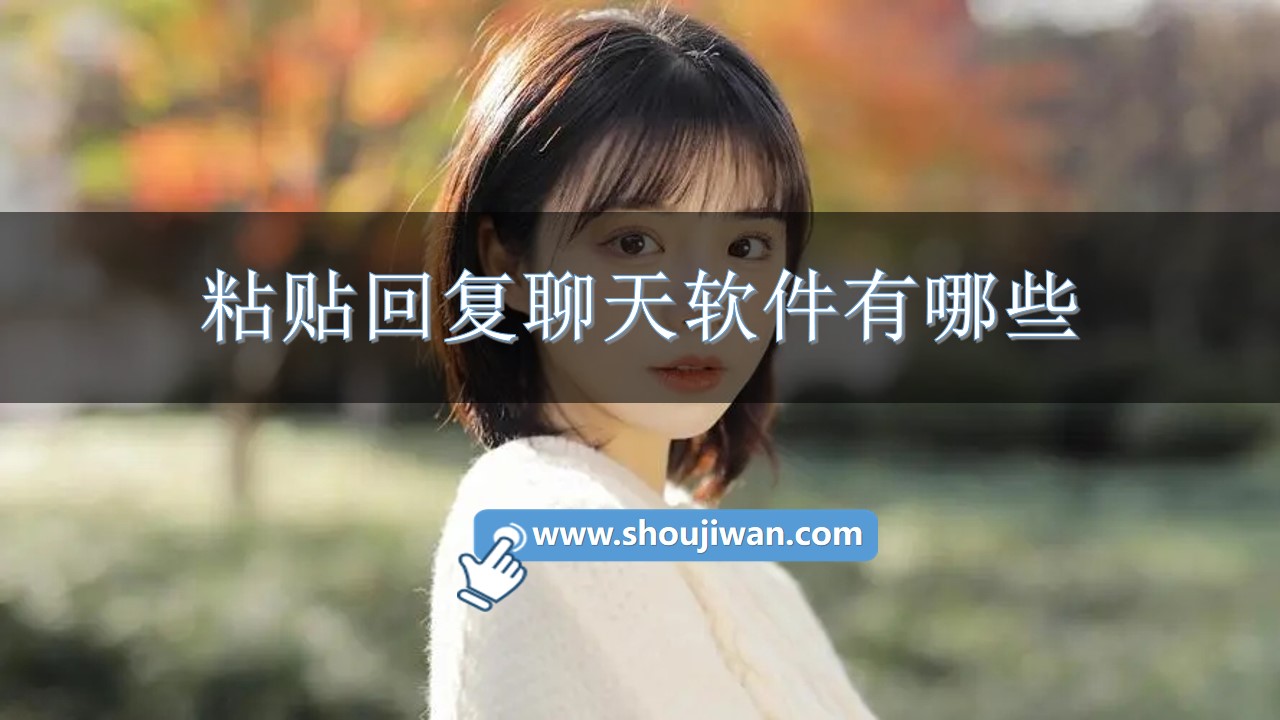 粘贴回复聊天软件有哪些-粘贴对话教你怎么回复的软件