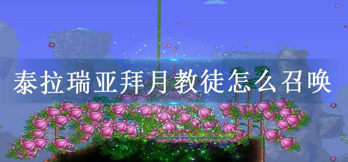 泰拉瑞亚拜月教徒怎么召唤