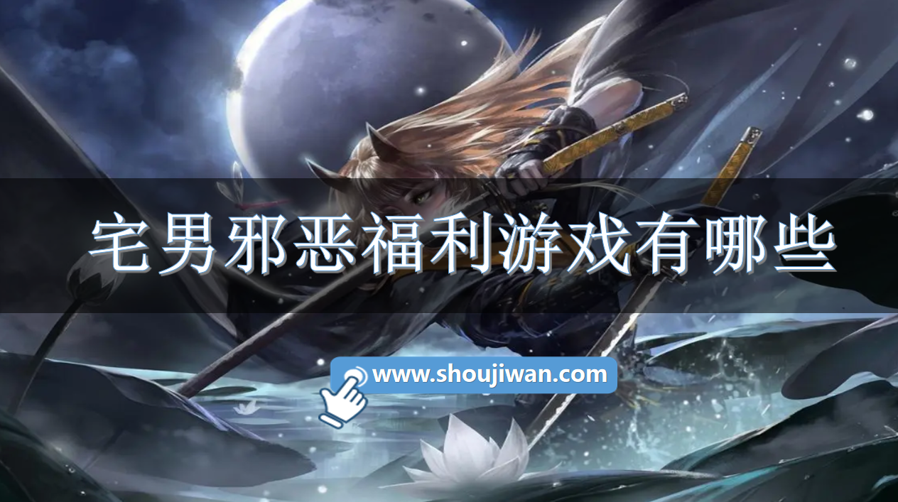 宅男邪恶福利游戏有哪些