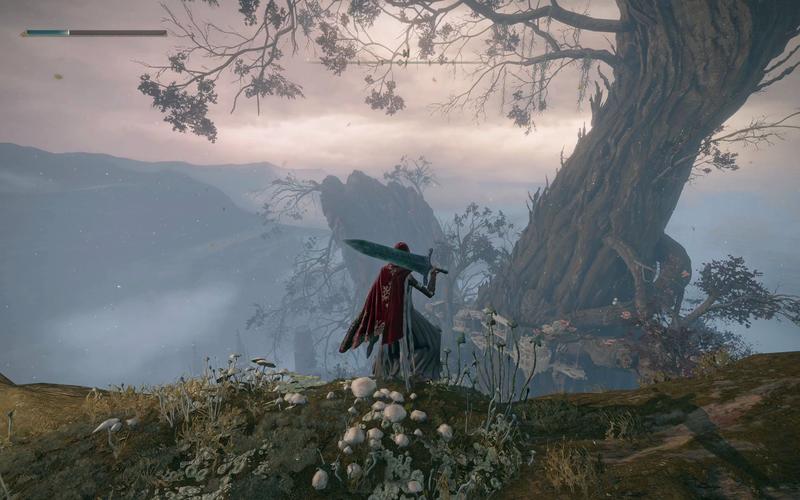 艾尔登法环怎么升级-快速升级方法推荐