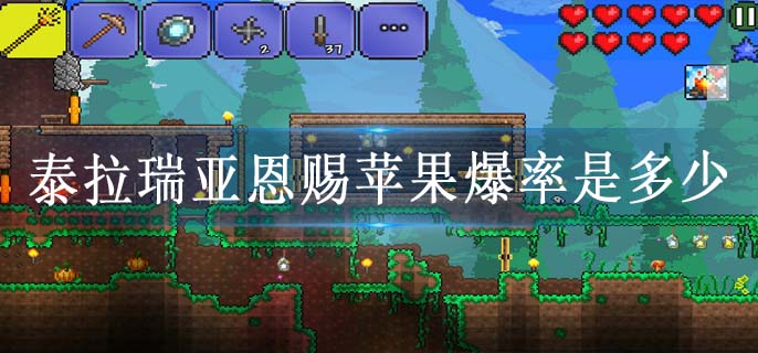 泰拉瑞亚恩赐苹果爆率是多少