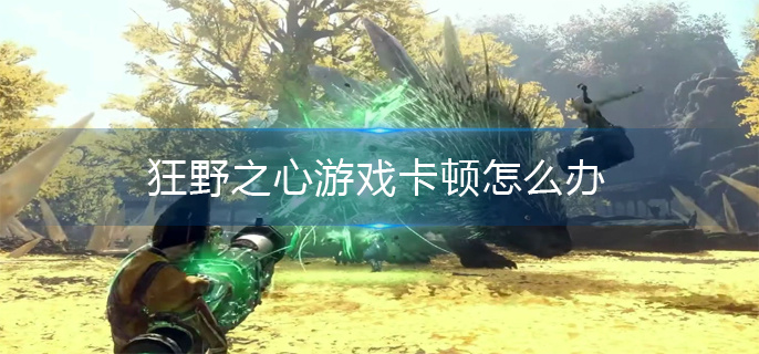 狂野之心游戏卡顿怎么办