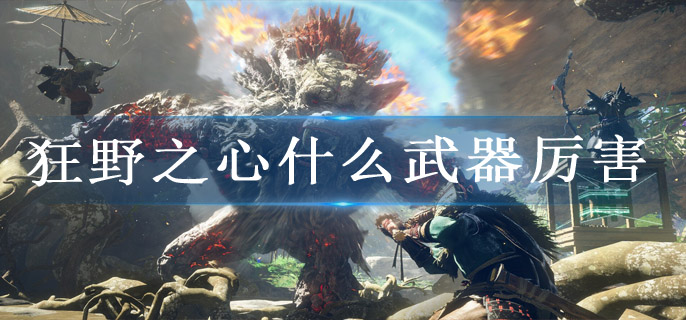 狂野之心什么武器厉害