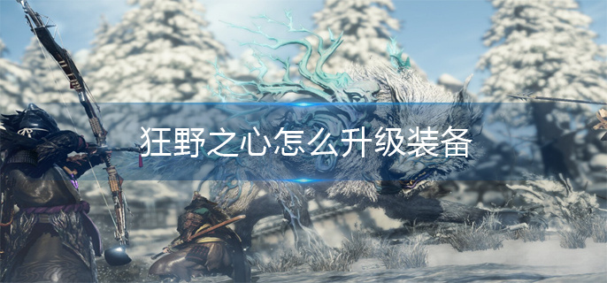 狂野之心怎么升级装备