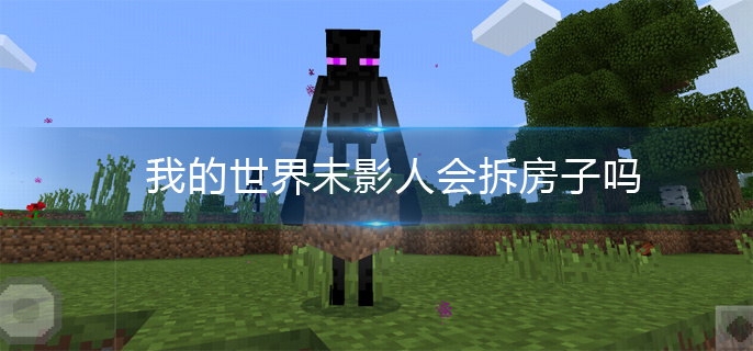我的世界末影人会拆房子吗