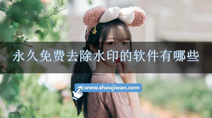 永久免费去除水印的软件有哪些-免费去除水印的软件下载
