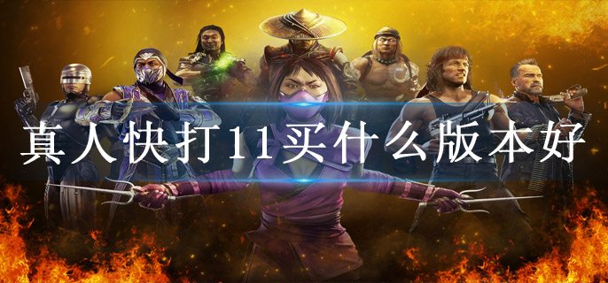 真人快打11买什么版本好