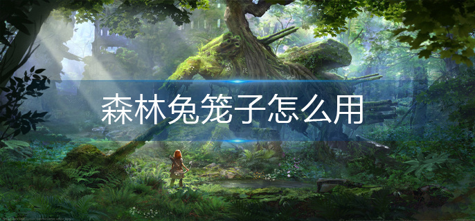 森林兔笼子怎么用