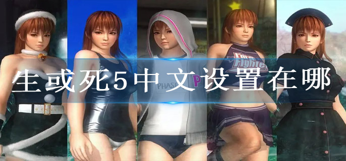 生或死5中文设置在哪