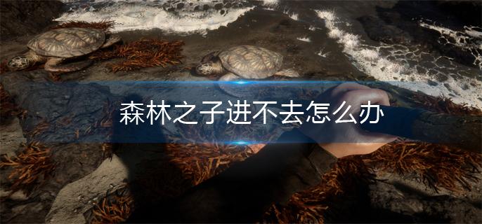 森林之子进不去游戏解决方法
