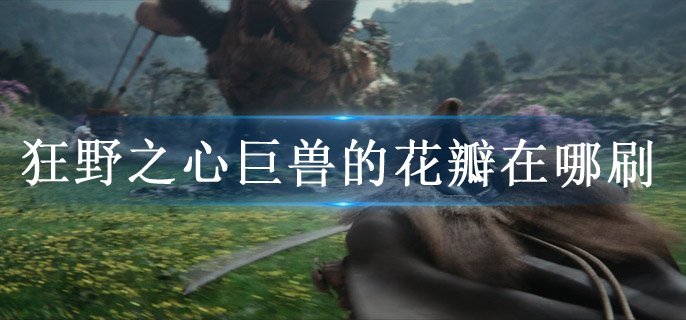 狂野之心巨兽的花瓣在哪刷