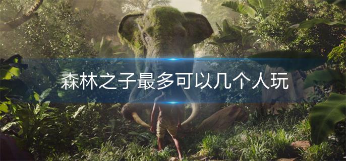 森林之子最多可以几个人玩