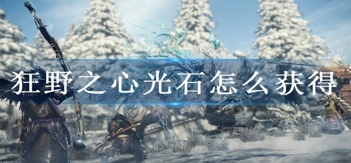 狂野之心光石怎么获得
