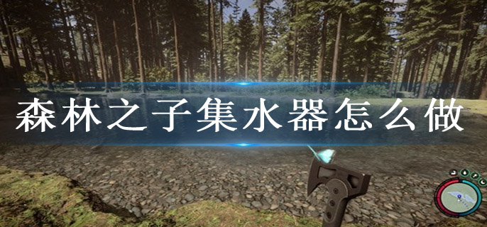 森林之子集水器怎么做